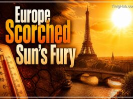 Europe’s Inferno: A Continent Scorched by Unrelenting Heat
